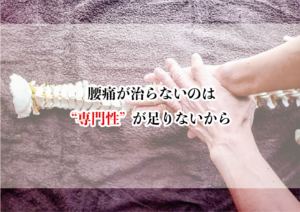 腰痛が治らないのは“専門性”が足りないから